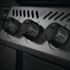 Ausgewählte Produkte -Grillmeister napoleon freestyle 365 3 hauptbrenner mit seitenbrenner graphit a2e89d262a6687c2d8df6d458cd08519