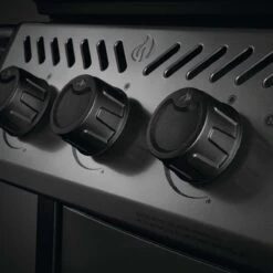 Napoleon Freestyle 425, 4 Hauptbrenner, Mit Sizzle Zone Seitenbrenner, Graphit 23 Napoleon Freestyle 425, 4 Hauptbrenner, Mit Sizzle Zone Seitenbrenner, Graphit -Grillmeister napoleon freestyle 425 4 hauptbrenner mit sizzle zone seitenbrenner graphit 20c7cb3c006a738a4d7762835f80460a