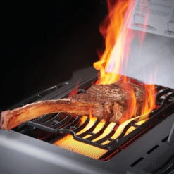 Napoleon Gasgrill Prestige 665, Edelstahl 14 Napoleon Gasgrill Prestige 665, Edelstahl -Grillmeister napoleon prestige p665rsibpss edelstahl 86c258b56293bfa624afb292d061b043