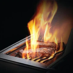 Napoleon Rogue XT 425, Schwarz 20 Napoleon Rogue XT 425, Schwarz -Grillmeister napoleon rogue xt 425 schwarz sizzle zone 5ab2050bfa003976d4e7e3c1901bf177