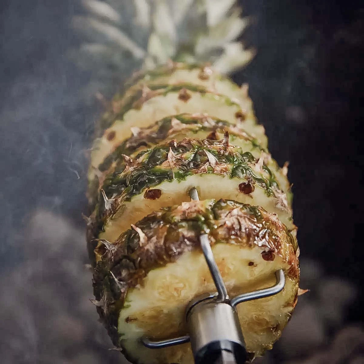 SANTOS Drehspieß Für Weber Genesis I 300er Bis Modelljahr 2016 4 SANTOS Drehspieß Für Weber Genesis I 300er Bis Modelljahr 2016 – Bild 2