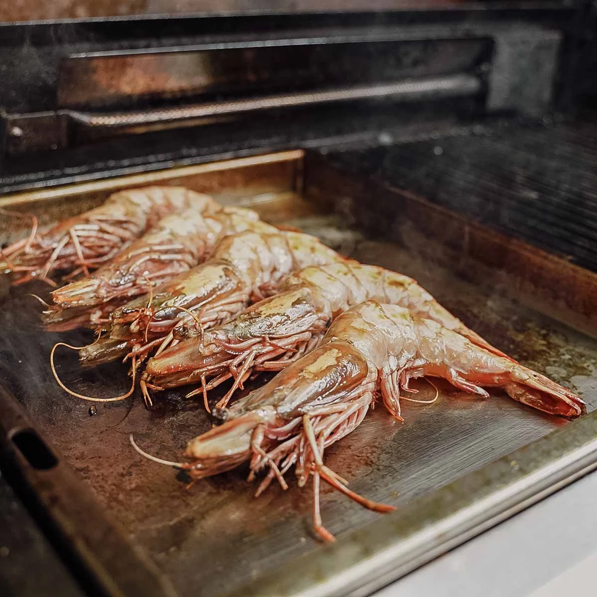 SANTOS Plancha, Einsatzpfanne Für SANTOS E-518, Eden, Cairns Und Hollywood 4 SANTOS Plancha, Einsatzpfanne Für SANTOS E-518, Eden, Cairns Und Hollywood – Bild 2