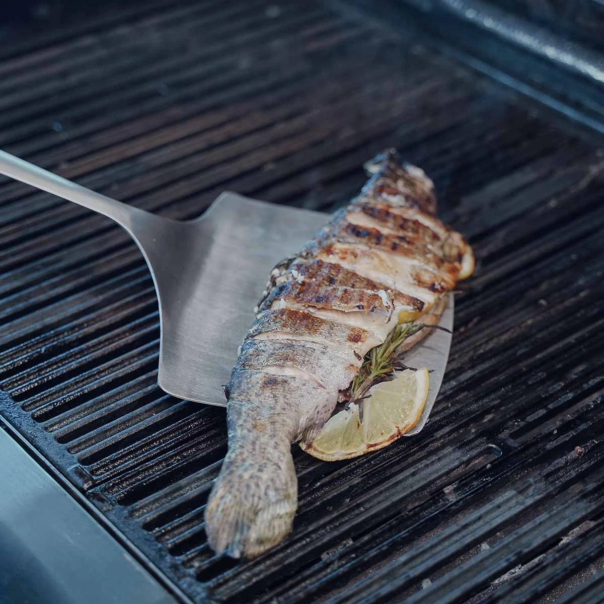 SANTOS Fischwender, Edelstahl 6 SANTOS Fischwender, Edelstahl – Bild 4